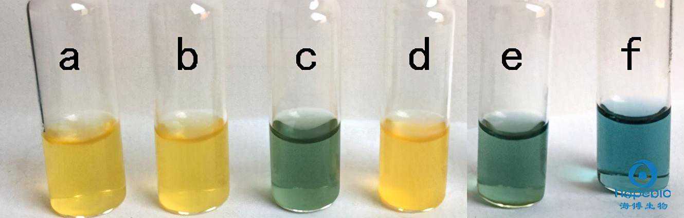 非对称加密（RSA算法原理）