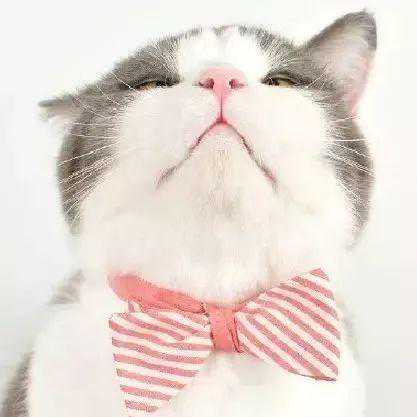 今天，霸王级寒潮到！@江都人5小时后出门，请裹紧