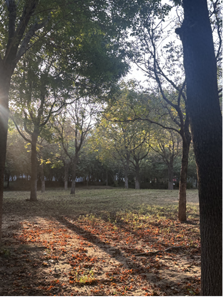 寻找山东最美大学|齐鲁工业大学石乙茜：《光隙》