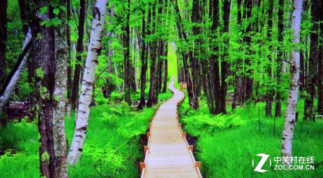 中国第一台大科学装置北京正负电子对撞机30岁了