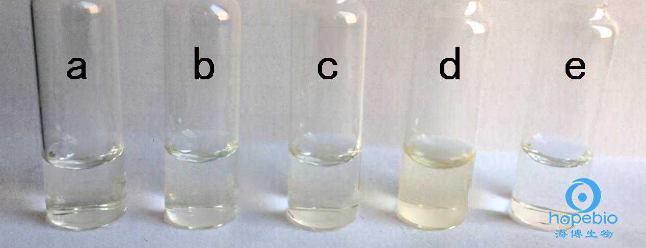食品中沙门氏菌检验（2）—沙门氏菌生化鉴定