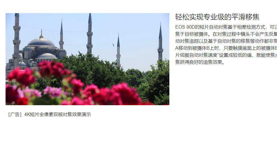 尼康Z30发布了，少了电子取景器，可调对焦速度，值得买吗？