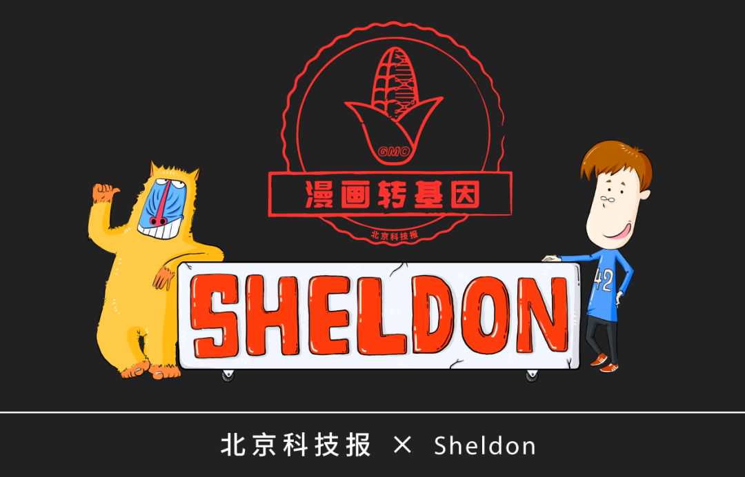 漫画｜美国母猪为什么假装怀孕？破解转基因食品的四大谣言