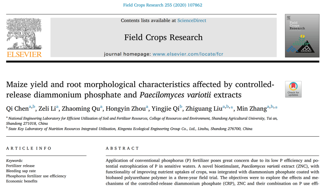 二铵配施ZNC：根表面积增加80%，土壤有效磷提高45%