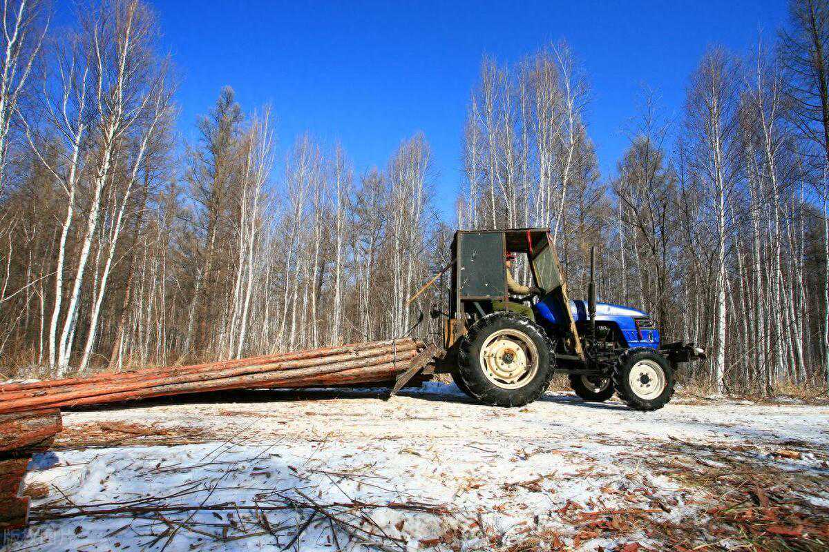 伐木加工机械及器具与机床：木材加工的得力助手