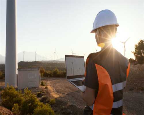 全自鸽子屠宰流水线流程