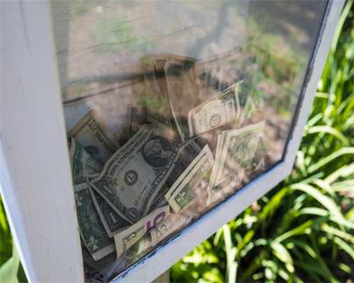 新赛道跑出加速度——山东加快工业企业梯度培育观察